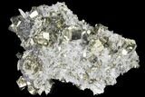 Cubic Pyrite & Quartz Crystal Association - Peru #133014-1